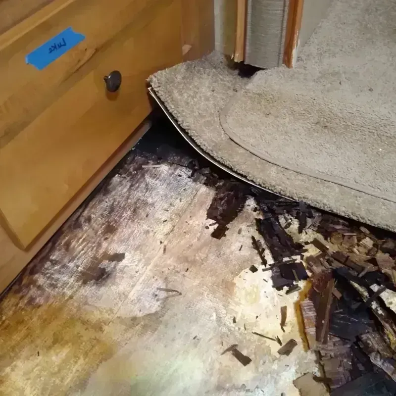 Best Wood Floor Water Damage Service in Mediapolis, IA